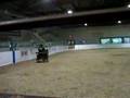 Rocky Mini Horse Show