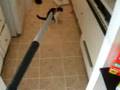 Xumi VS The Vaccum