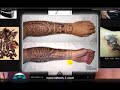 Tatoo Designs