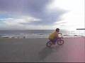 Pedro-GT-BMX-Kubota-