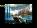 Polar bear wants to kiss teddy bear 