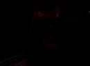 Jun 21 2008 - VID00011