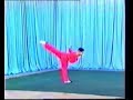 Guiding Changquan 2000