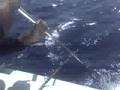 Morgan's fishing trip