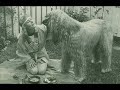 Taiska - ARCTIC WEDDING (Haltin h��t)