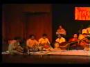 SARASWATI RAJAGOPALAN, Veena artists new delhi india veena p