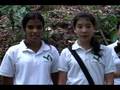 Adaptations: Panama's Harpy Eagle - a Bilingual Presentati