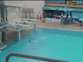 Saltos Ornamentais - Rio 2007