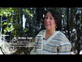 Open video