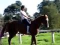 littho en clase de equitacion 4