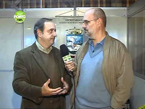 Cobertura do 31º Rodeio Crioulo Internacional de Osório, ocorrido entre os dias 25 e 29 de maio de 2011 no Parque Jorge Dariva, localizado às margens da E-RS 30 em Osório.
