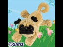 New webkinz stuff!