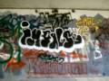 videos de black book