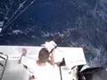 Sailfish Release - CR Gamefish Sportfishing Costa Rica