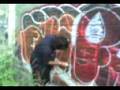 videos de in accion