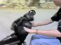 Electric Motorcycle - Brakes