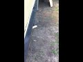 This is a video that the user has chosen on youtube