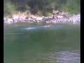 videos de tuffi del miga