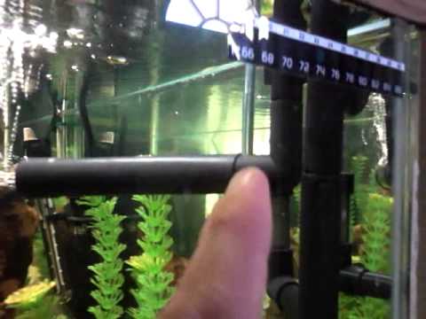 how to provide oxygen for fish