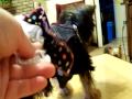 title="TINY