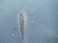 KAPR  60CM JESENICE