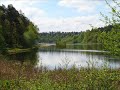 Jezioro D?ugie k. Rzepina