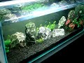 ECOSSISTEMA AQUATICO 