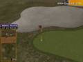 Golden Tee Great Shot on Grand Savannah!