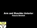Fascia Stretch Arms / Shoulders