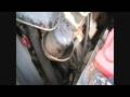 videos de After off roading, 4runner (HD)