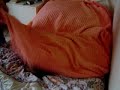 Tarras �r morgontr�tt