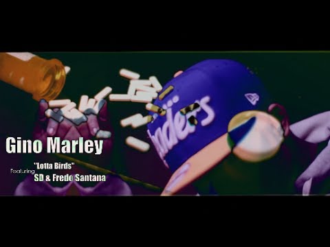 sd - Gino Marley f/ SD & Fredo Santana - Lotta Birds (Official Video) Produced by @theKidDeezy Shot By@AZaeProduction.