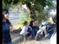 cewe rebutan cowo