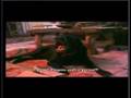 Labrador Retriever video