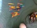 Johnathon Gone Wild!!! (having fun with magnetics) Johnathon Gone Wild!!! (having fun with magnetics)