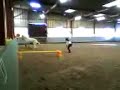 idao dans le petit manege idao dans le petit manege