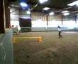 idao dans le petit manege