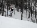 Greg 360 from glades run onto main trail Greg 360 from glades run onto main trail