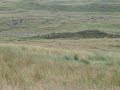 Kyle Line Landslip
