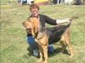 Bloodhound video
