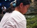 HongKong Ocean park 6