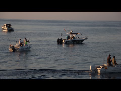 FESTES SANT PERE 2025