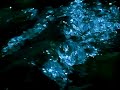 Stan Brakhage - Comingled Containers (1996) Stan Brakhage - Comingled Containers (1996)