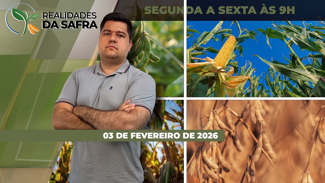 Lavouras de soja sofrem com seca no Paraguai e clima irregular também preocupa no Pará