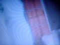 5.12.08 7.8M Earthquake in Sichuan China