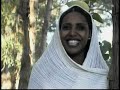 eritrea   teame woldemichael   tsebkti ftret