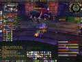 videos de Akilah VS Anub'Rekhan