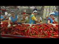 Tierra y Mar. Trazabilidad