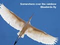 Somewhere over the rainbow lyric Somewhere over the rainbow lyric