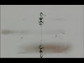 Father & Daughter - 8'08'' (2000) A film by Michael Dudok de Wit.